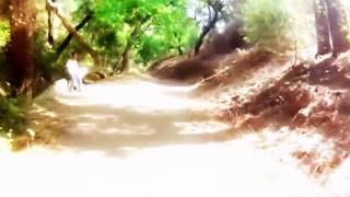 ««Best of Red Bull Rampage @ 2013»»