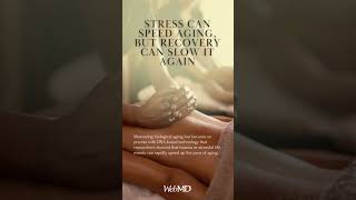 Stress Can Speed Aging, but Recovery Can Slow It Again: Study #shorts
