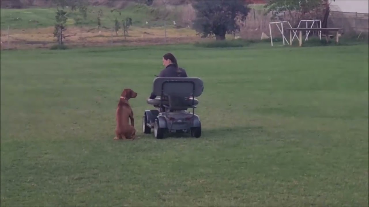 Тоня и Ирам. Потрясение. Восхищение. - YouTube