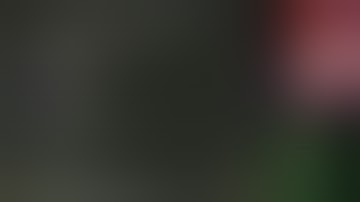 Messijo and WebLLM: Solving my haystack problem | React, TypeScript, Elixir