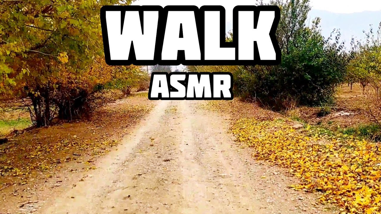 walk with me in nature | new asmr | #asmr #walk - YouTube