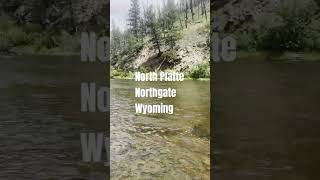 #NorthPlatteRiver – Crystal Water in Wyoming’s Northgate Canyon #shorts #flyfishing #wyoming