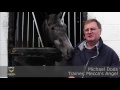BCS TV | Michael Dods updates on Mecca's Angel