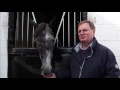 BCS TV | Michael Dods updates on Mecca's Angel