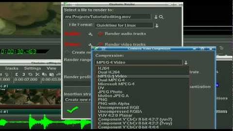 Basic Editing in Cinelerra Pt. 5