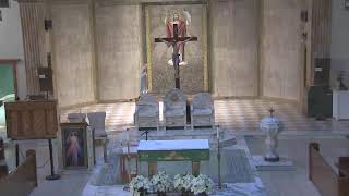 St. Jude Shrine Morning Novena Blessing 2.9.26