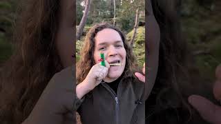 Intriguing moment on the jaw harp ✨🦋🌳✨ #jawharp #danmoi #guimbarde #forest