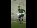 Belgium Egypt Own Goals Gone Wrong