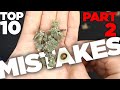 Top 10 mistakes new growers make  how to avoid them  part 2