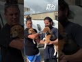 Florida to New York: Rescued beagles take to the skies on their way to forever homes