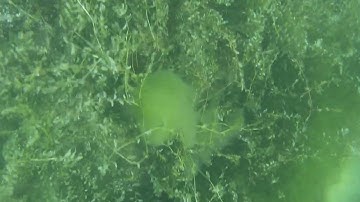 3d printed under water drone.