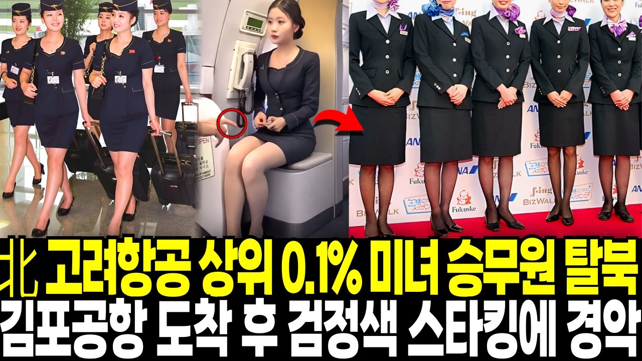 북한 고려항공 상위 0.1% 미녀 승무원 탈북, 김포공항 도착 후 한국 승무원들이 검정색 스타킹을 신는것을 보고 경악한 이유