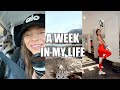 A Week In My Life | workout, teeth whitening, genetic testing results