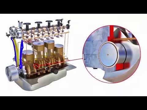 Rear Seal Leak Repair Cost