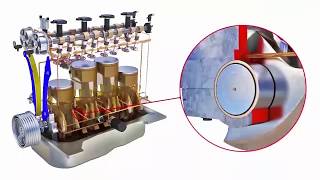 Celebrity Rear Main Seal Leak Net Worth