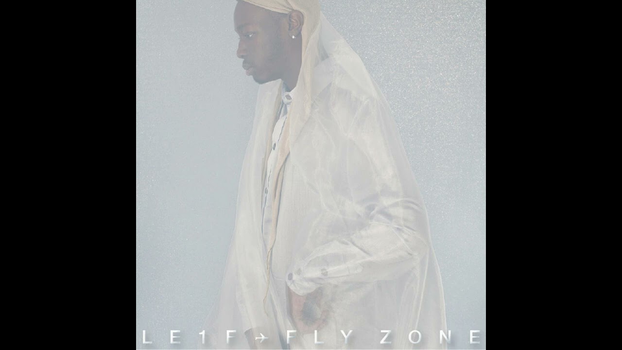 Le1f - Fly Zone  [ High Sound Quality ]
