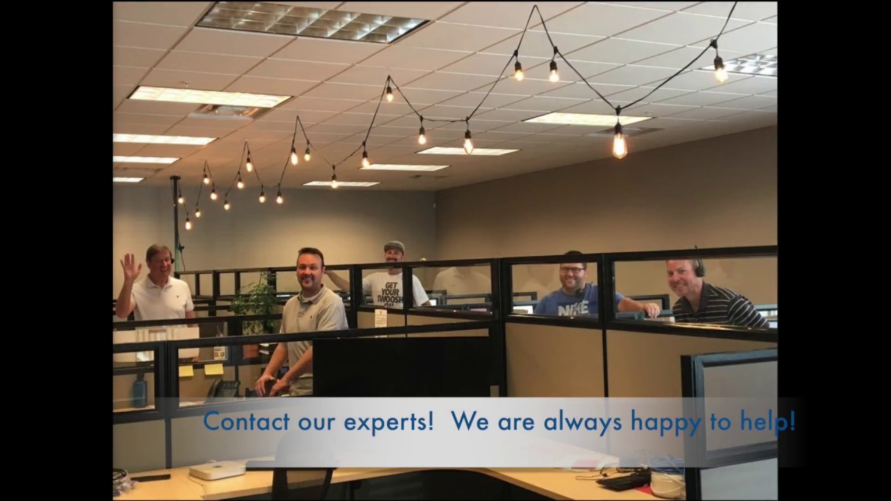 We Are Novelty Lights!