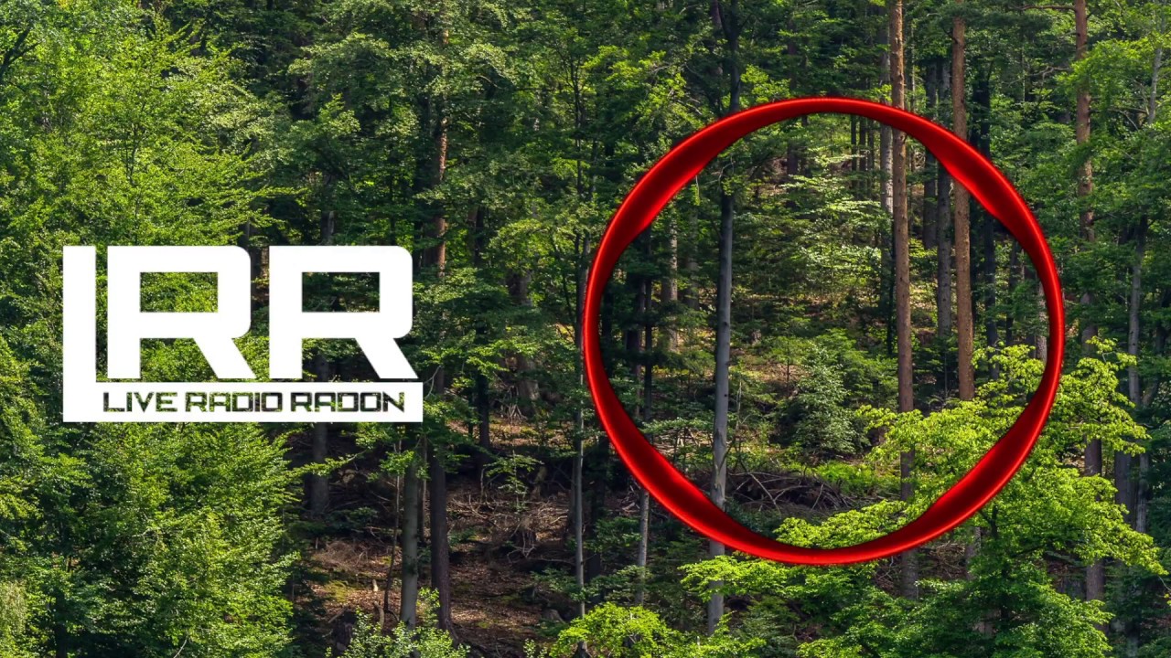 Mapps - Is Anyone There [LRR Release]