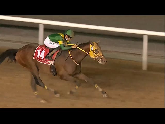 ドバイワールドカップ 2023 ウシュバテソーロ【ドバイWCデー】 - YouTube