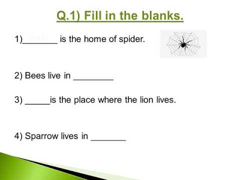 class 4 evsworksheetno02 youtube