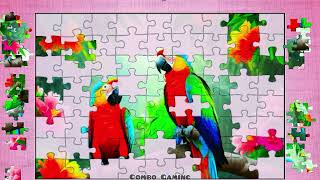 puzzle #5004 gameplay || HD amazing wildlife parrot bird jigsaw puzzles game video  screenshot 3