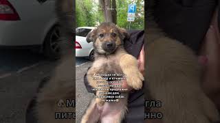 💔Лейла почти УГОРЕЛА в горячей машине без воды и воздуха😭