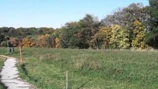 2006 Pine Ridge Dr video tour