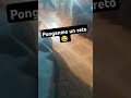 Los leos