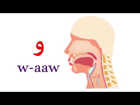 نطق حرف الواو