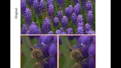Video Compression with Entropy-Constrained Neural Representations