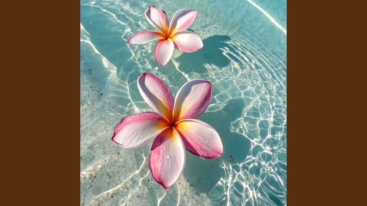 Veranito auf YouTube ansehen Veranito auf YouTube ansehen