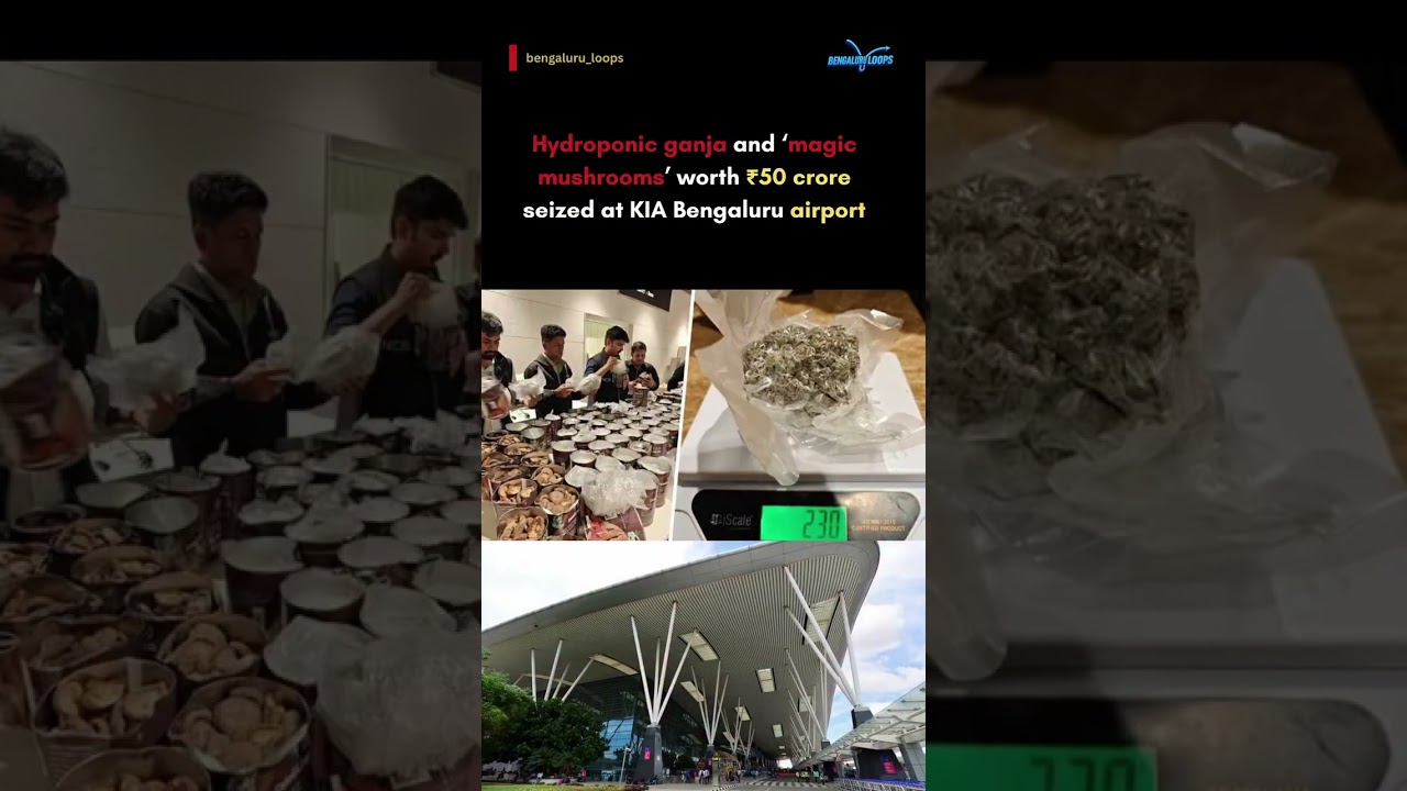 NCB busted an international drug racket in Bengaluru and arrested three persons