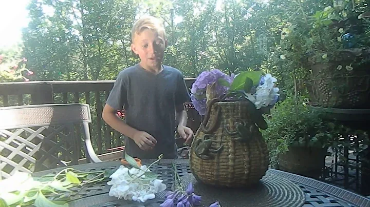 Turtle Kazienko Sunday Gardening