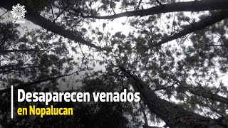 Desaparece reserva de venados cola blanca en Nopalucan, Puebla