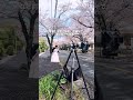 彼女とセルフ撮影した場所で、妻と撮ってきた結果…