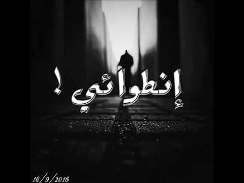 بيدو انطوائي BEDO Entwoaey L 