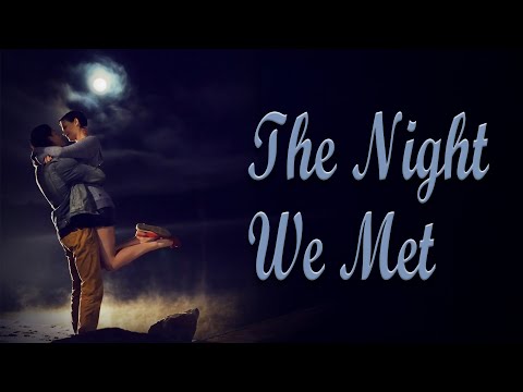 THE NIGHT WE MET