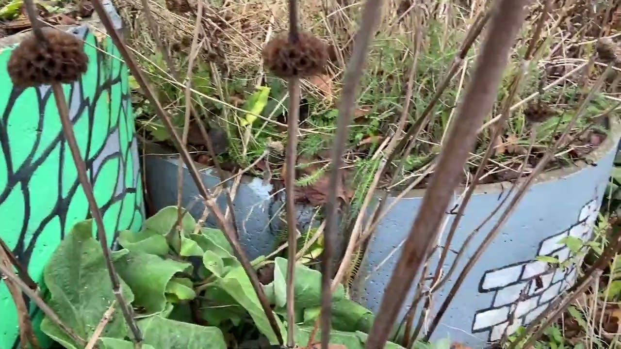 The Journey: Grey to Green