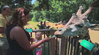 Exploring the Heart of North Carolina, Randolph County