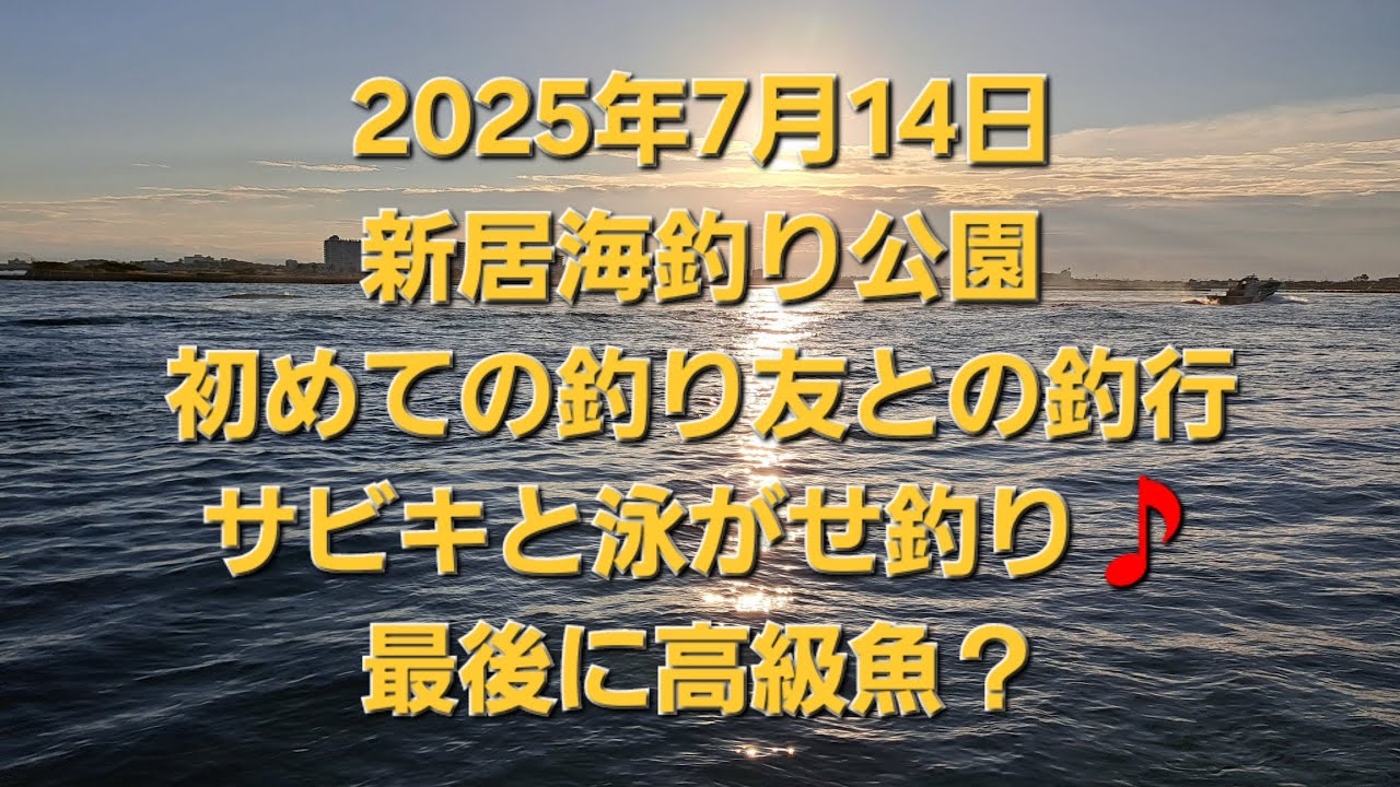 新居海釣り公園　7月14日サビキと泳がせ釣り　最後に高級魚？