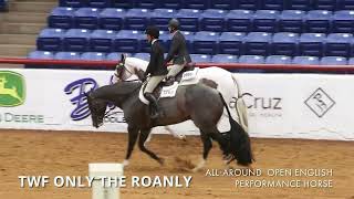 2023 APHA World Show All-Around Open English Performance Horse screenshot 4