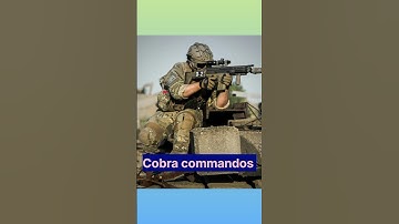 #army #armylover #cobra #commando #pera #bsf #indianarmy #indianairforce #indiannavy#facts#military