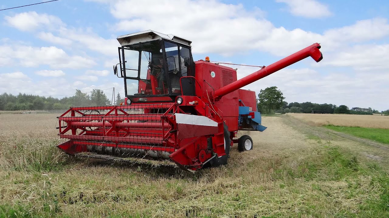 Polowanie na Bizony || Fotorelacja ||