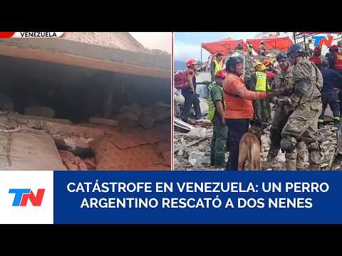VENEZUELA I Un perro rescatista llevado desde Argentina encontró a dos nenes bajo los escombros