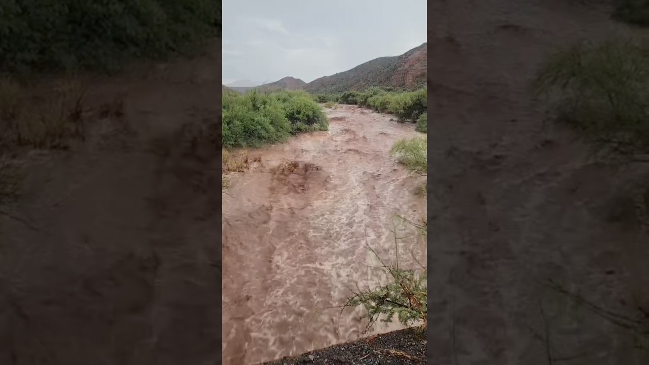 Primeras lluvias en Sonora #sonora #lluvias