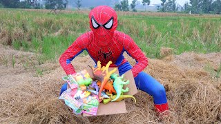 Spiderman Menemukan Harta Karun Mainan Dinosaurus Dan Ikan, Ikan Koi, Ikan Trenggiri, Brachiosaurus