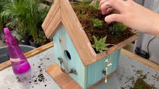 DIY Birdhouse Succulent Planter + Kit