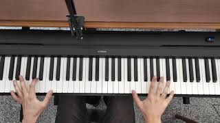 Muse - The Handler - piano cover