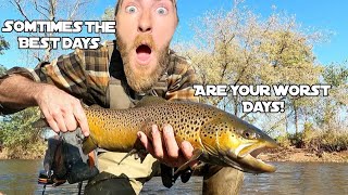 Nov Brown trout fishing Fly fishing Lake Ontario tributaries Using Post fly flies