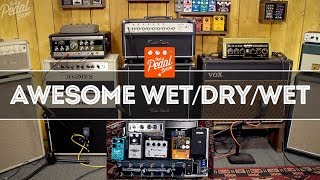 Awesome Wet/Dry/Wet: 3 Amps, Space Echo, Echorec, CE-1 & More β That Pedal Show